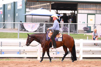 Senior Western Pleasure