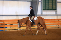 Lvl 1 Amateur WT Hunter Under Saddle