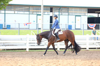 14-18 Hunter Under Saddle