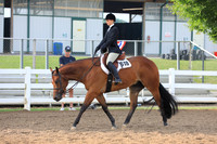 Amateur Hunter Under Saddle