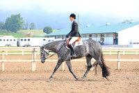 Junior Hunter Under Saddle