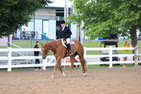 Level 1 Amateur Hunter Under Saddle