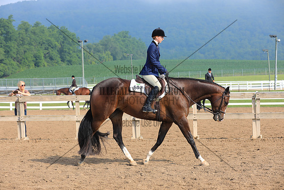 KEE_4037