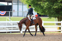 Level 1 Green Hunter Under Saddle