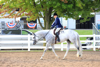 Select Hunter Under Saddle