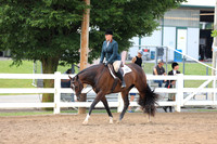Senior Hunter Under Saddle