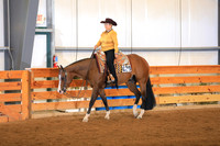 Lvl 1 Amateur Walk Trot Western Pleasure