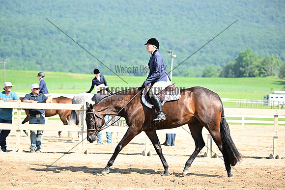 AJB_9051
