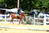 AJB_0874