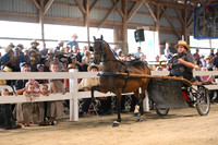 AJB_0519