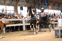 AJB_0527