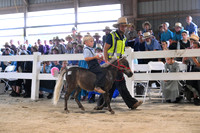 AJB_0640
