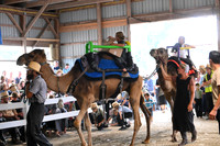 AJB_0719