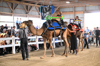 AJB_0722