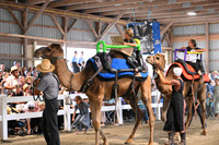 AJB_0724