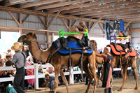 AJB_0725