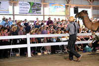 AJB_0726