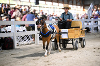 AJB_2119