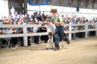 AJB_0878