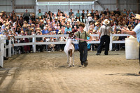 AJB_0882