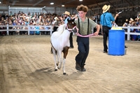 AJB_0884