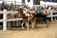 AJB_1563