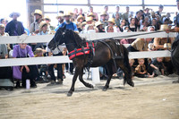 AJB_0920
