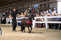 AJB_0921