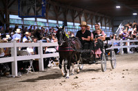 Lot 83