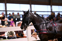 AJB_1810