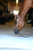 AJB_7896
