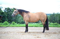 AJB_2746