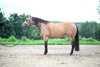 AJB_2744