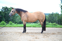 AJB_2745