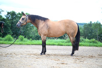 AJB_2747
