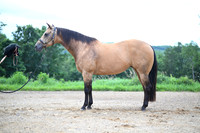 AJB_2748