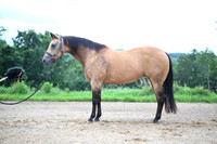 AJB_2750
