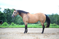 AJB_2749