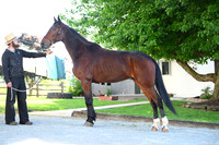ASH_9945