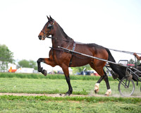 Amy Beiler-photos