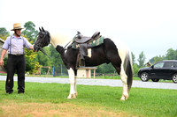 AJB_8775