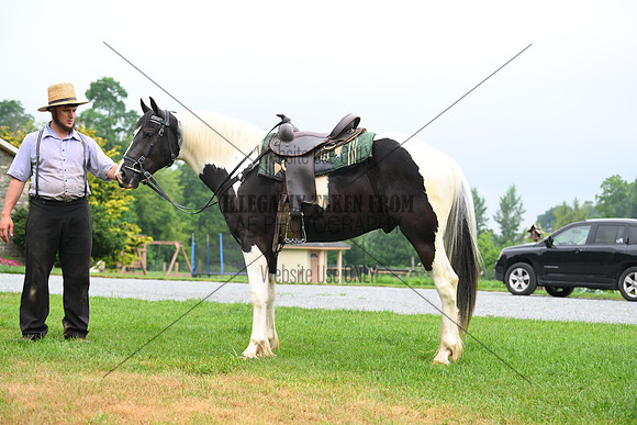 AJB_8775
