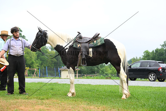 AJB_8778