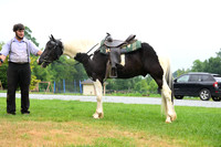 AJB_8782