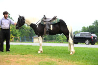 AJB_8783