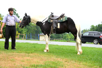 AJB_8785