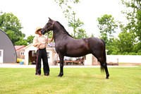 AJB_0590