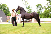 AJB_0592