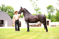 AJB_0594