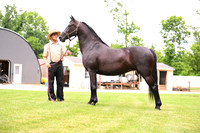 AJB_0595